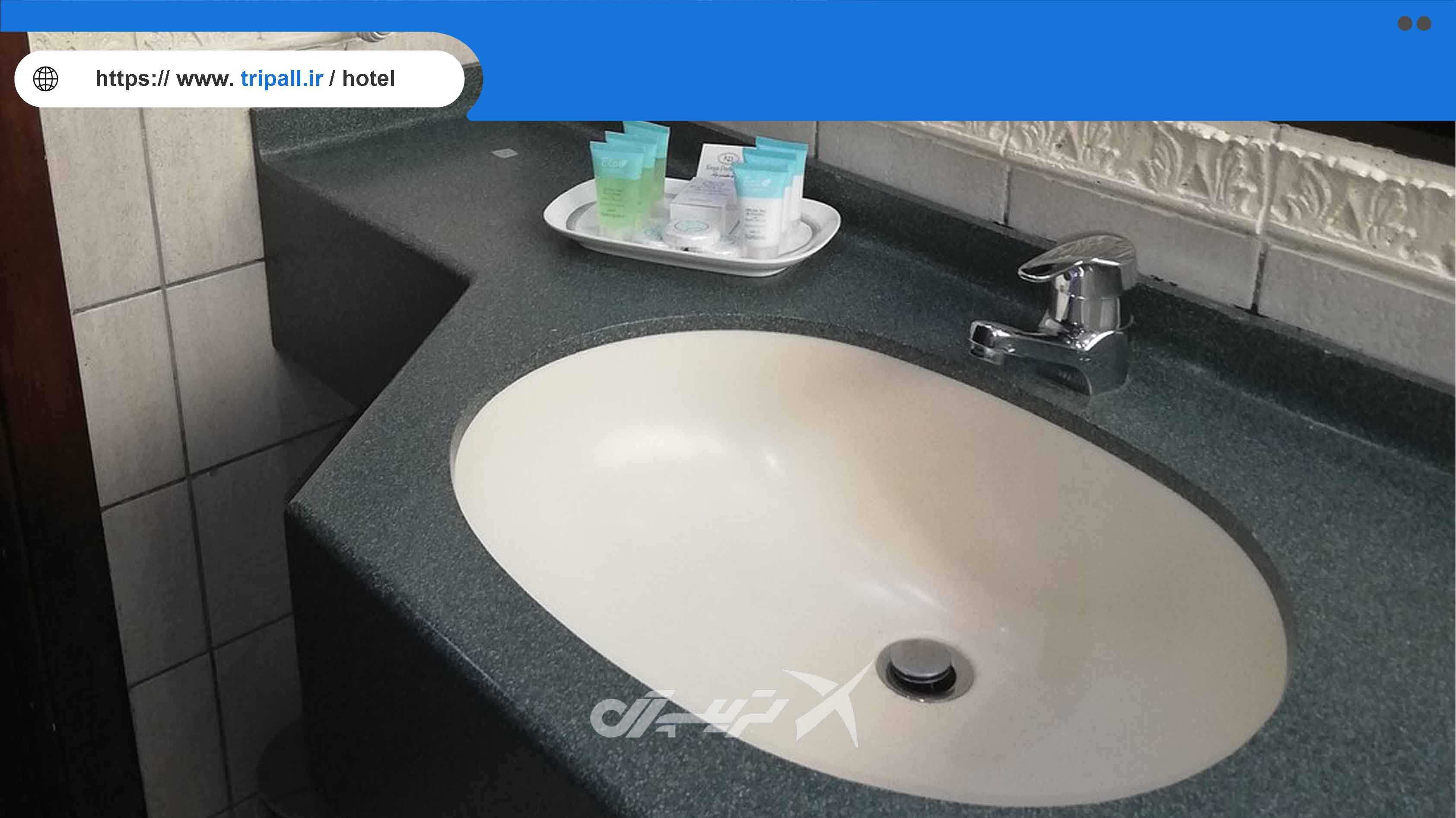 سرویس بهداشتی